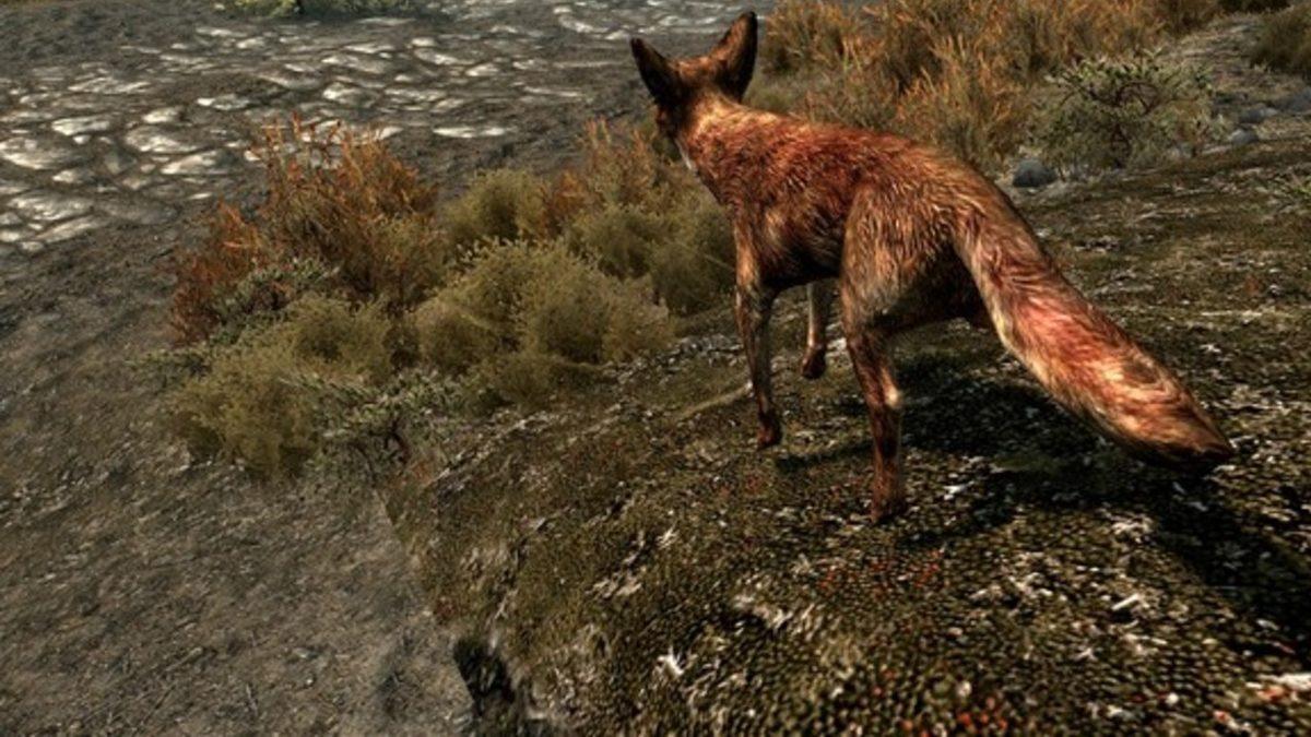 Skyrim Hayranları Toplansın: Yıllardır Çözülemeyen Tuhaf Bir Bilmece Sonunda Çözüldü