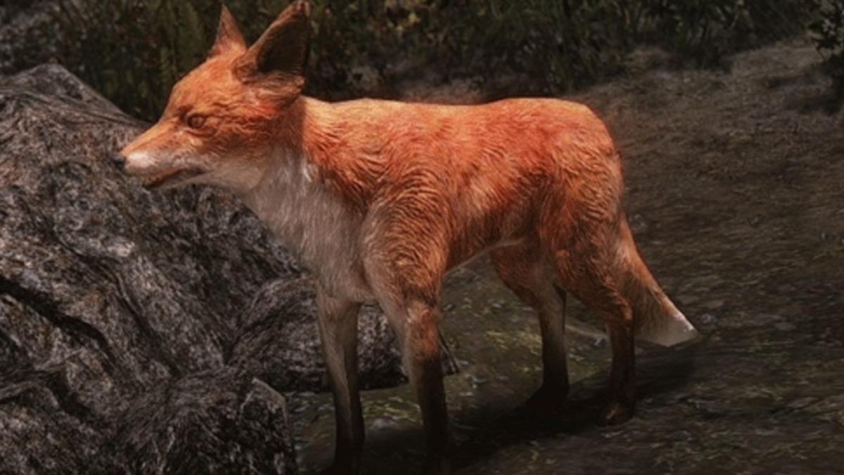 Skyrim Hayranları Toplansın: Yıllardır Çözülemeyen Tuhaf Bir Bilmece Sonunda Çözüldü