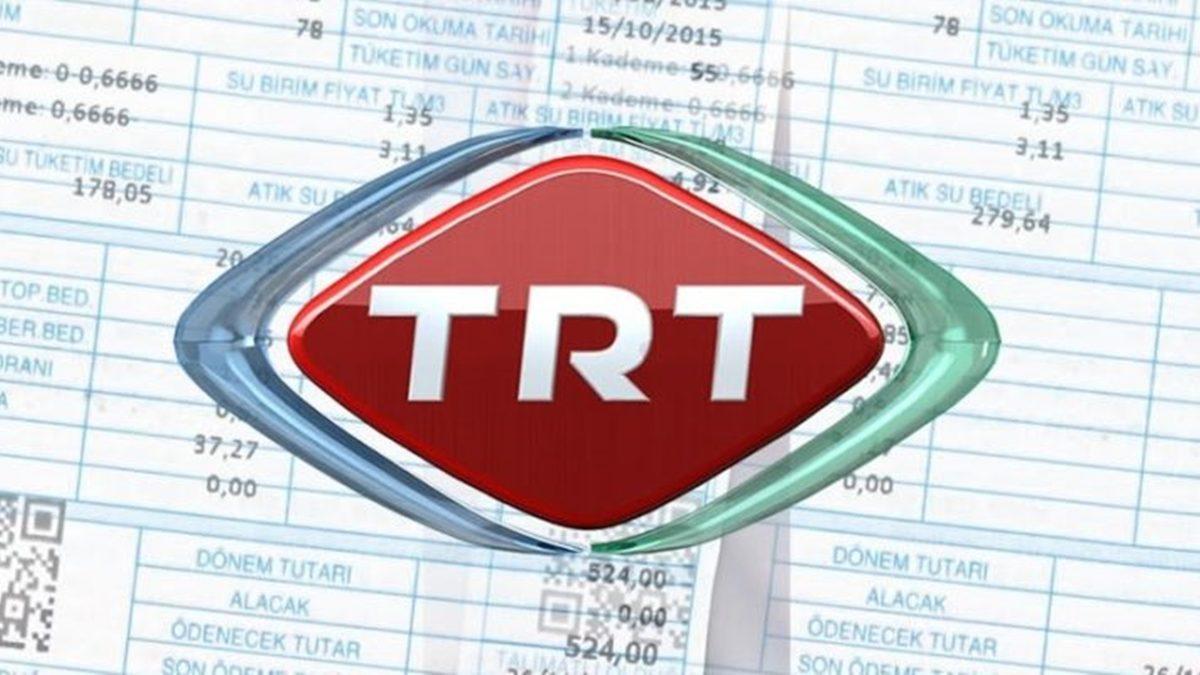 Termik Santralden Hisse mi Aldık? Rekor Kıran Elektrik Faturaları Sosyal Medyanın Gündeminde