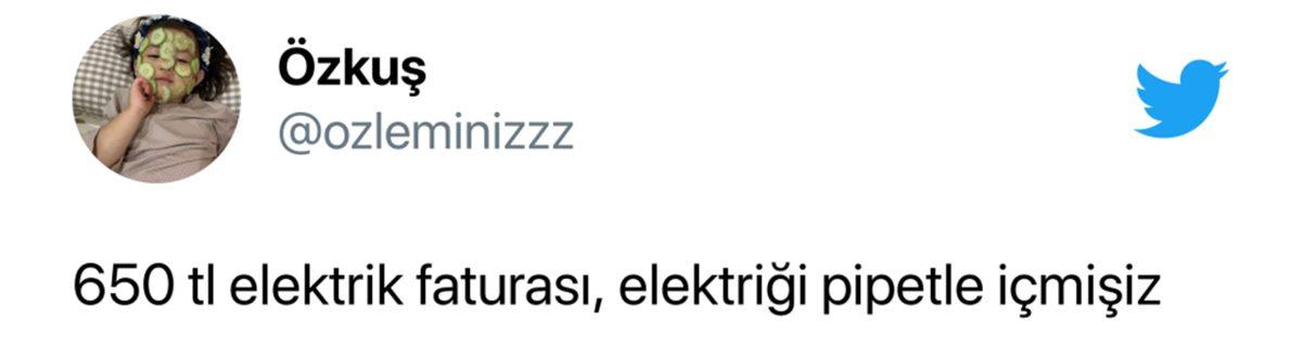 Termik Santralden Hisse mi Aldık? Rekor Kıran Elektrik Faturaları Sosyal Medyanın Gündeminde