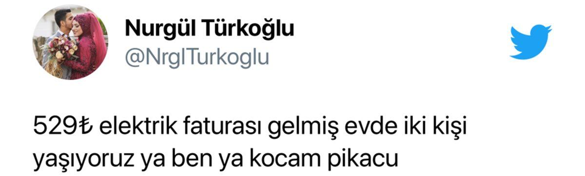 Termik Santralden Hisse mi Aldık? Rekor Kıran Elektrik Faturaları Sosyal Medyanın Gündeminde