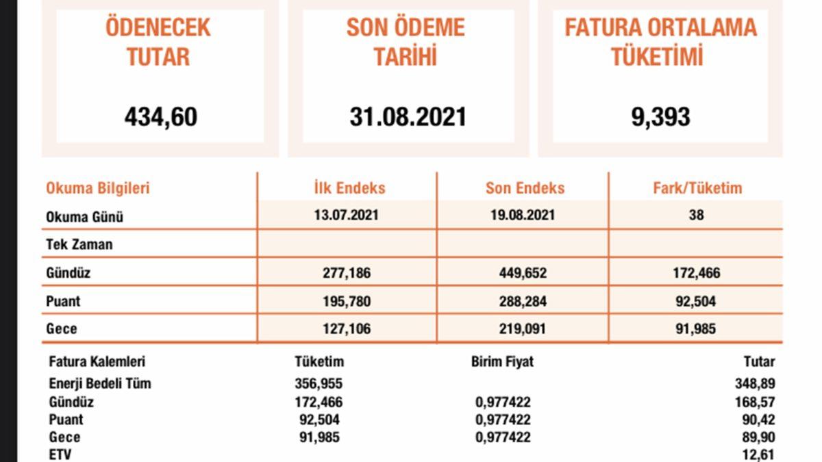 Termik Santralden Hisse mi Aldık? Rekor Kıran Elektrik Faturaları Sosyal Medyanın Gündeminde