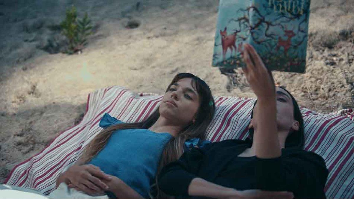 Netflix’e Gelecek Yeni Türk İçerikler Belli Oldu: İşte Platforma Eklenecek Yapımlar