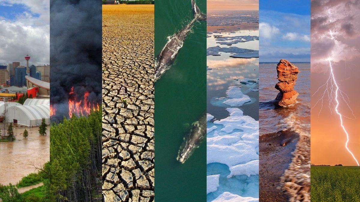 ’’Kıyamet Kapımızda’’: Türkiye, İklim Krizinden En Kötü Etkilenen Ülkelerden Biri Olacak