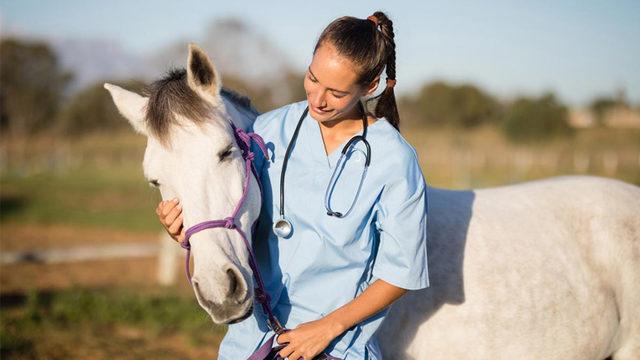 FDA, COVID-19’a Karşı Hayvan Parazit İlacı Kullananları Uyardı: İnek veya At Değilsiniz, Yapmayın