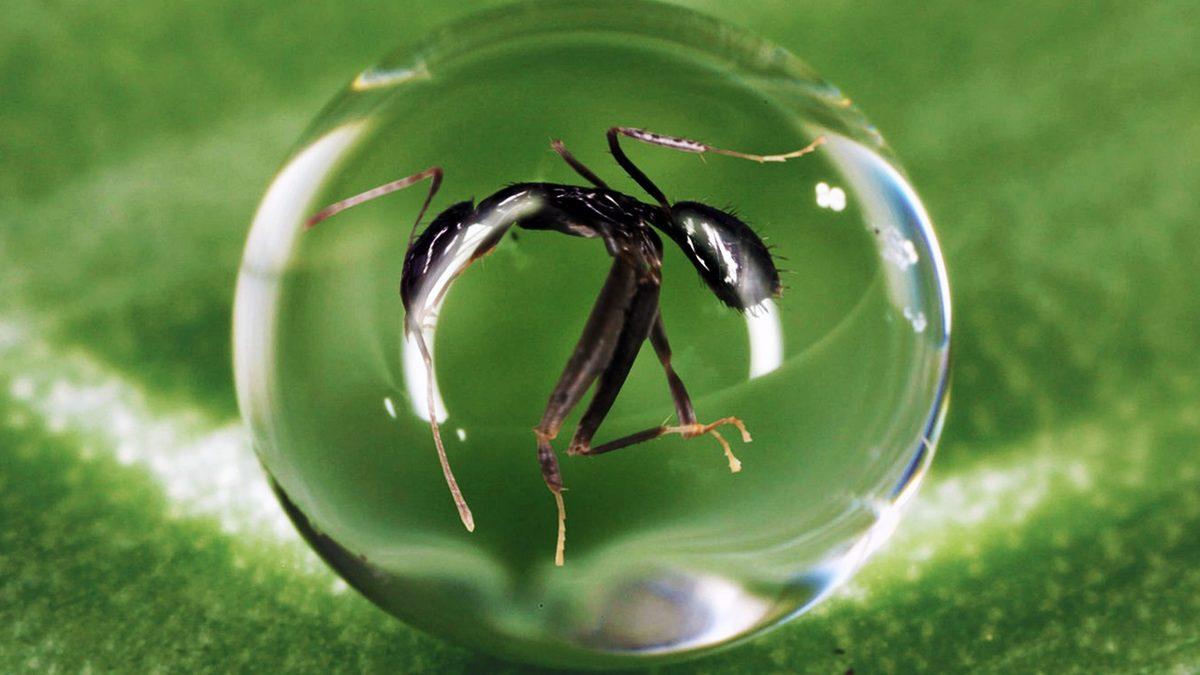 Yağmur Bulutundaki Damlaların Tamamı Tek Bir Dev Kütle Halinde Düşseydi Nolurdu?