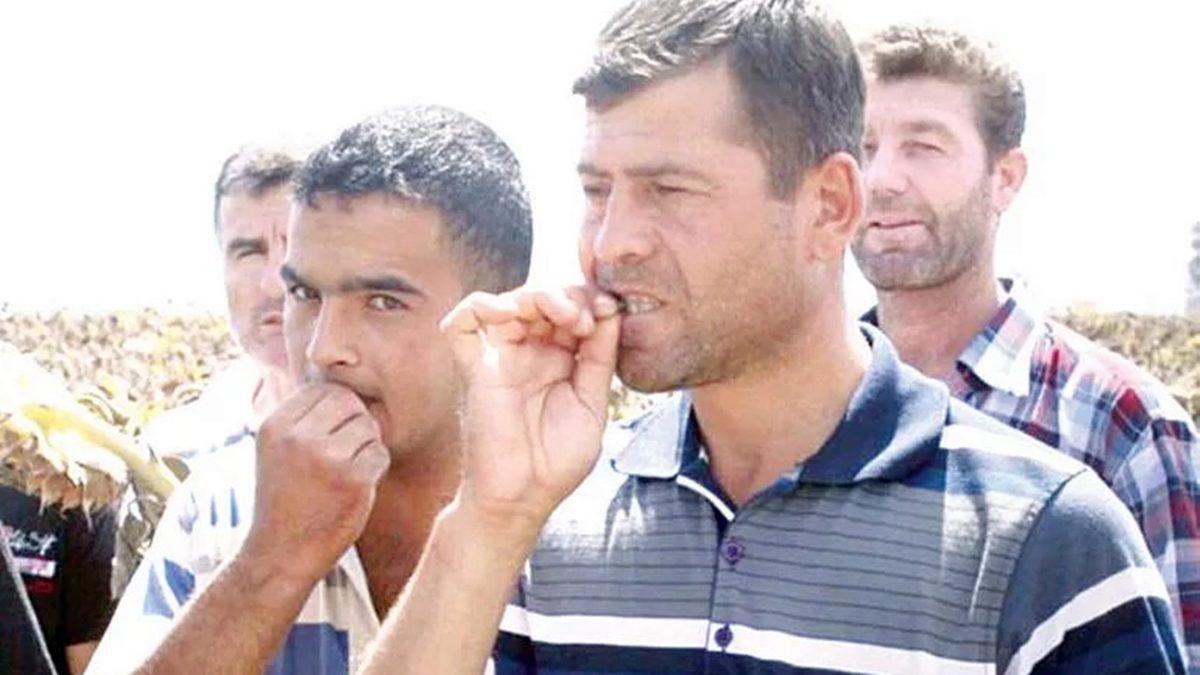 Türkiye’de Yalancının Mumu Yatsıya Kadar Yanmıyor: Sahte Haber Yapan Siteler, Google’ın Umursamazlığı Nedeniyle Dudak Uçuklatan Paralar Kazanıyor!