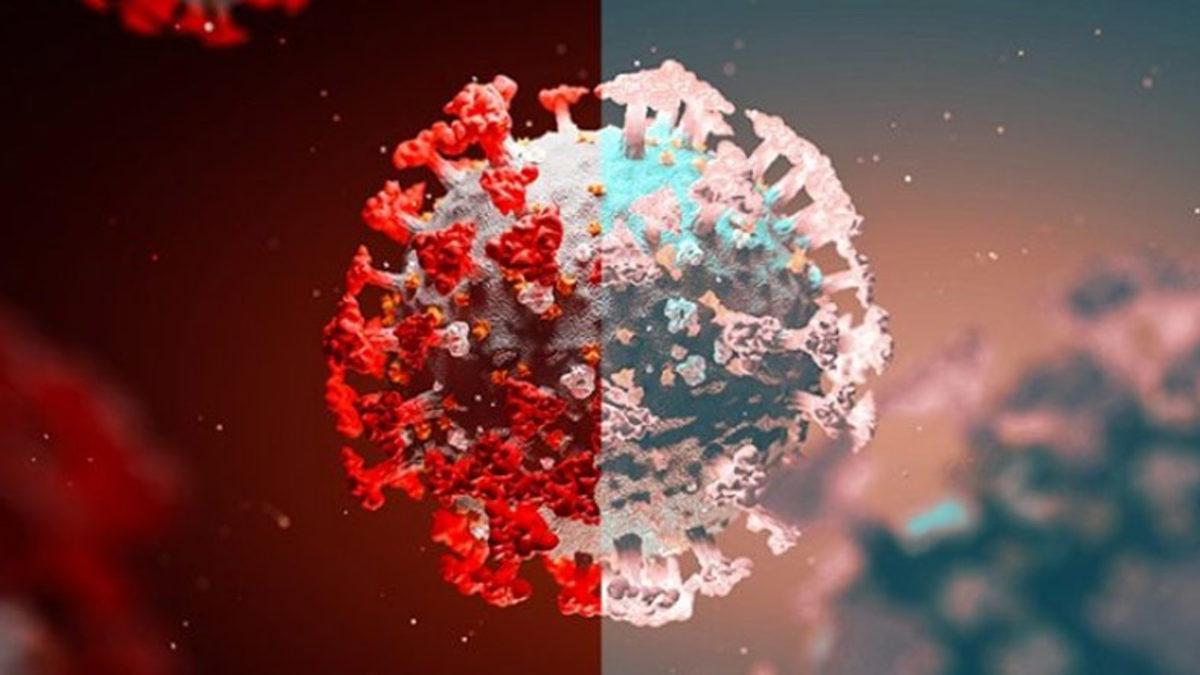 Bilim Kurulu Üyesi, Delta Varyantına Karşı En ‘Savunmasız’ Kişilerin Kim Olduğunu Açıkladı