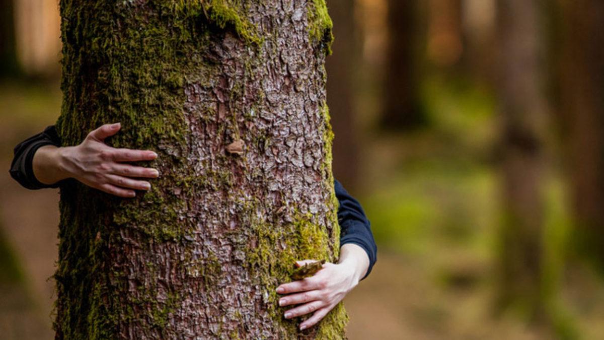 Çevreci Tutuma Sahip İnsanların Daha Çekici Bulunduğu Ortaya Çıktı