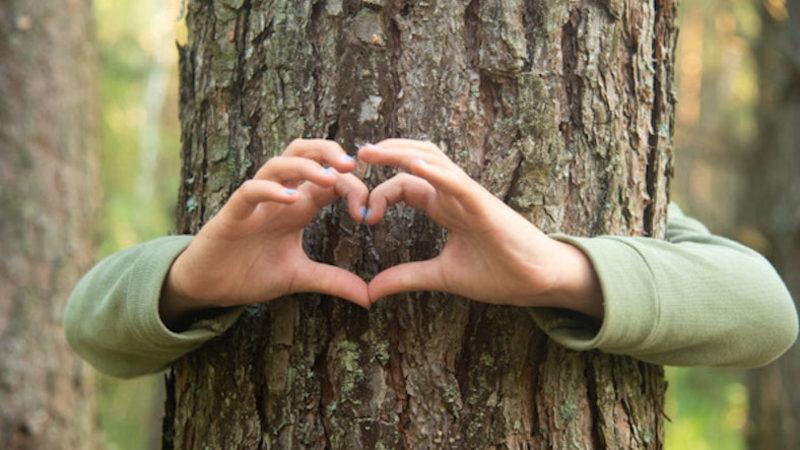 Çevreci Tutuma Sahip İnsanların Daha Çekici Bulunduğu Ortaya Çıktı