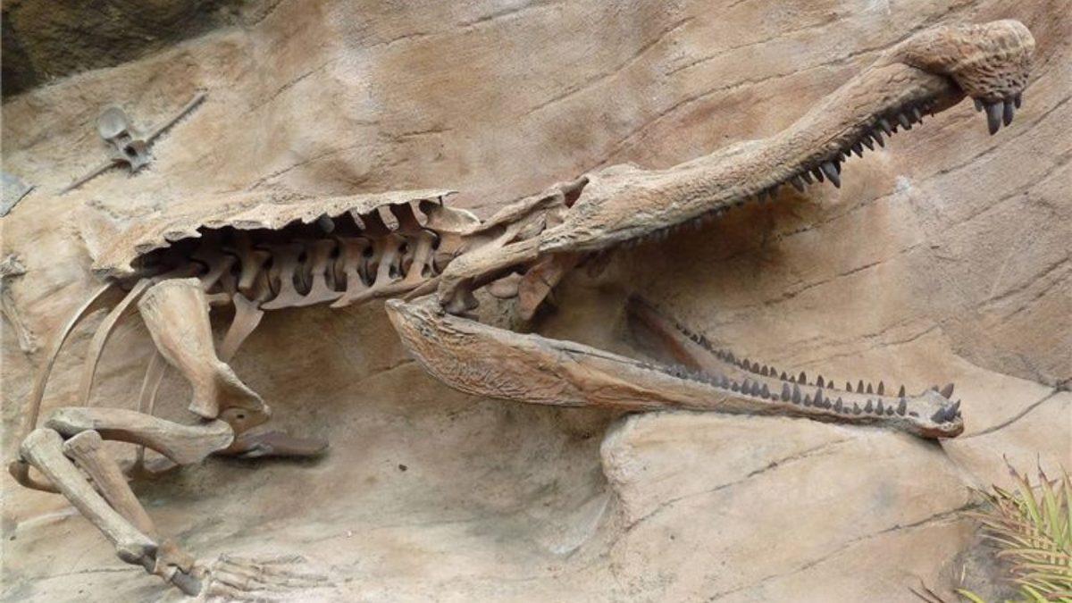 Adeta Fantastik Evrenlerden Fırlamış Gibi Görünen Tarih Öncesi Hayvanlar: Bazılarının Torunları Hâlâ Aramızda!