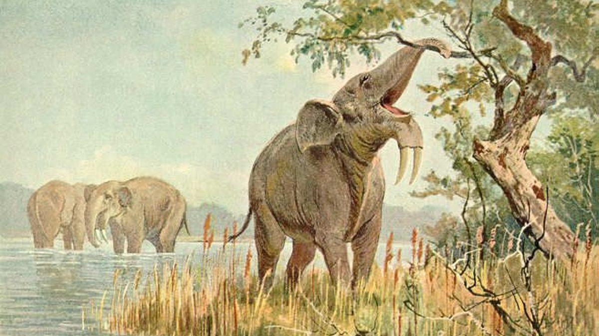 Adeta Fantastik Evrenlerden Fırlamış Gibi Görünen Tarih Öncesi Hayvanlar: Bazılarının Torunları Hâlâ Aramızda!