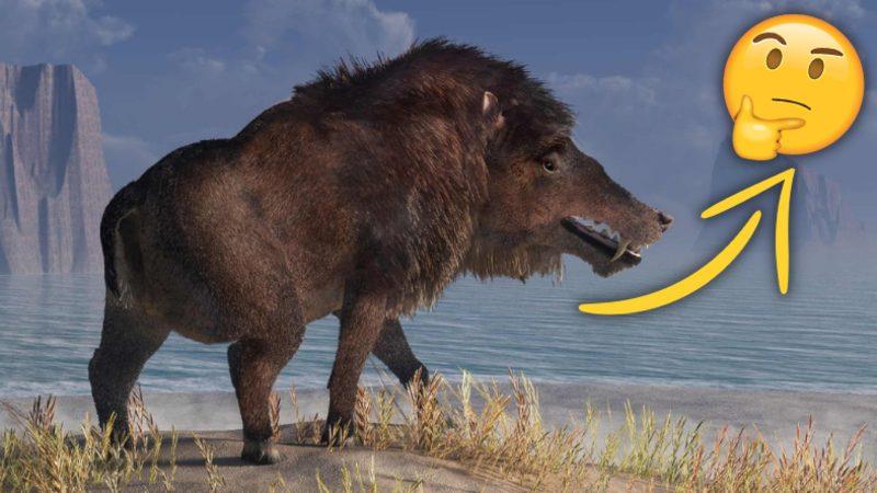 Adeta Fantastik Evrenlerden Fırlamış Gibi Görünen Tarih Öncesi Hayvanlar: Bazılarının Torunları Hâlâ Aramızda!