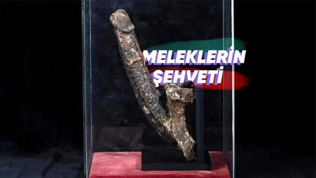 Asılarak İdam Edilen Erkeklerde Ortaya Çıkabilen Tuhaf Fenomen: Ölüm Ereksiyonu