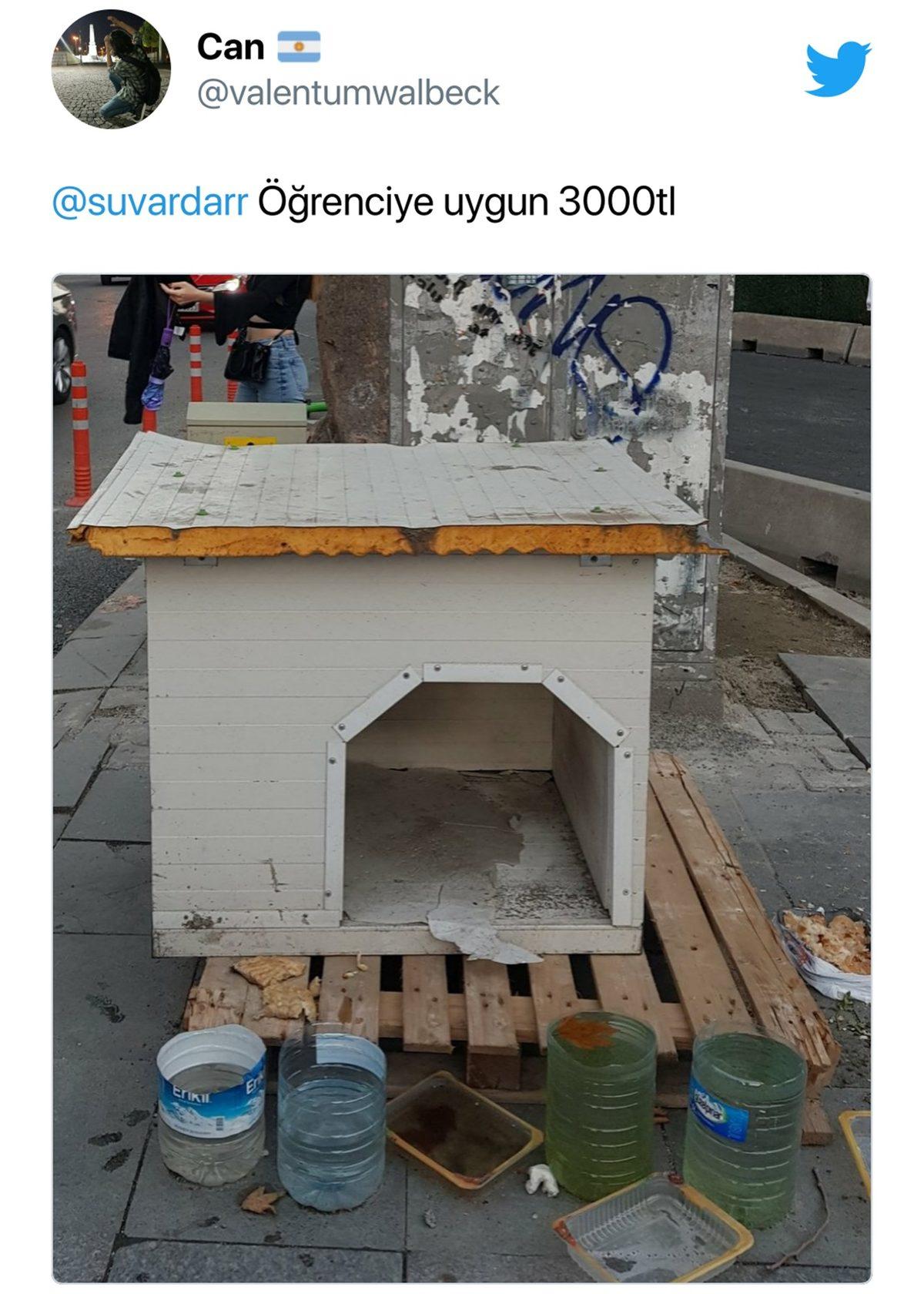 Gülüyoruz Ağlanacak Halimize: Fahiş Kira Fiyatlarından Yakınanların Verdiği Trajikomik Tepkiler