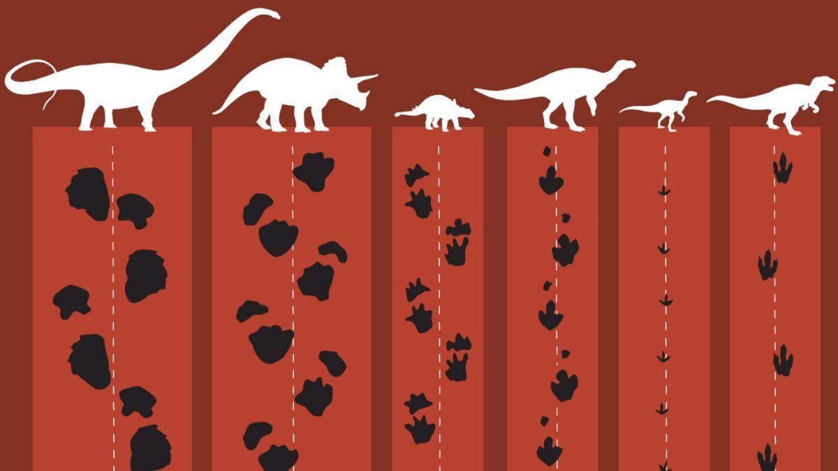 Bir Dinozorun Milyonlarca Yıl Önceden Kalma Ayak İzi Nasıl Oluyor da Bozulmadan Günümüze Kadar Ulaşıyor?