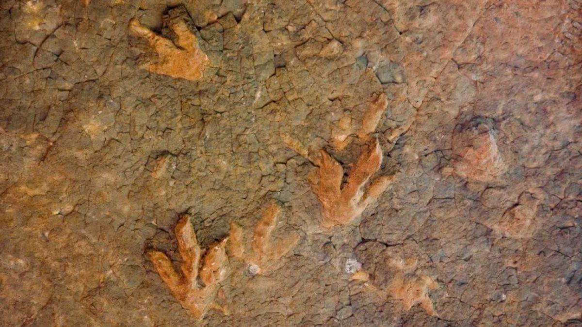 Bir Dinozorun Milyonlarca Yıl Önceden Kalma Ayak İzi Nasıl Oluyor da Bozulmadan Günümüze Kadar Ulaşıyor?