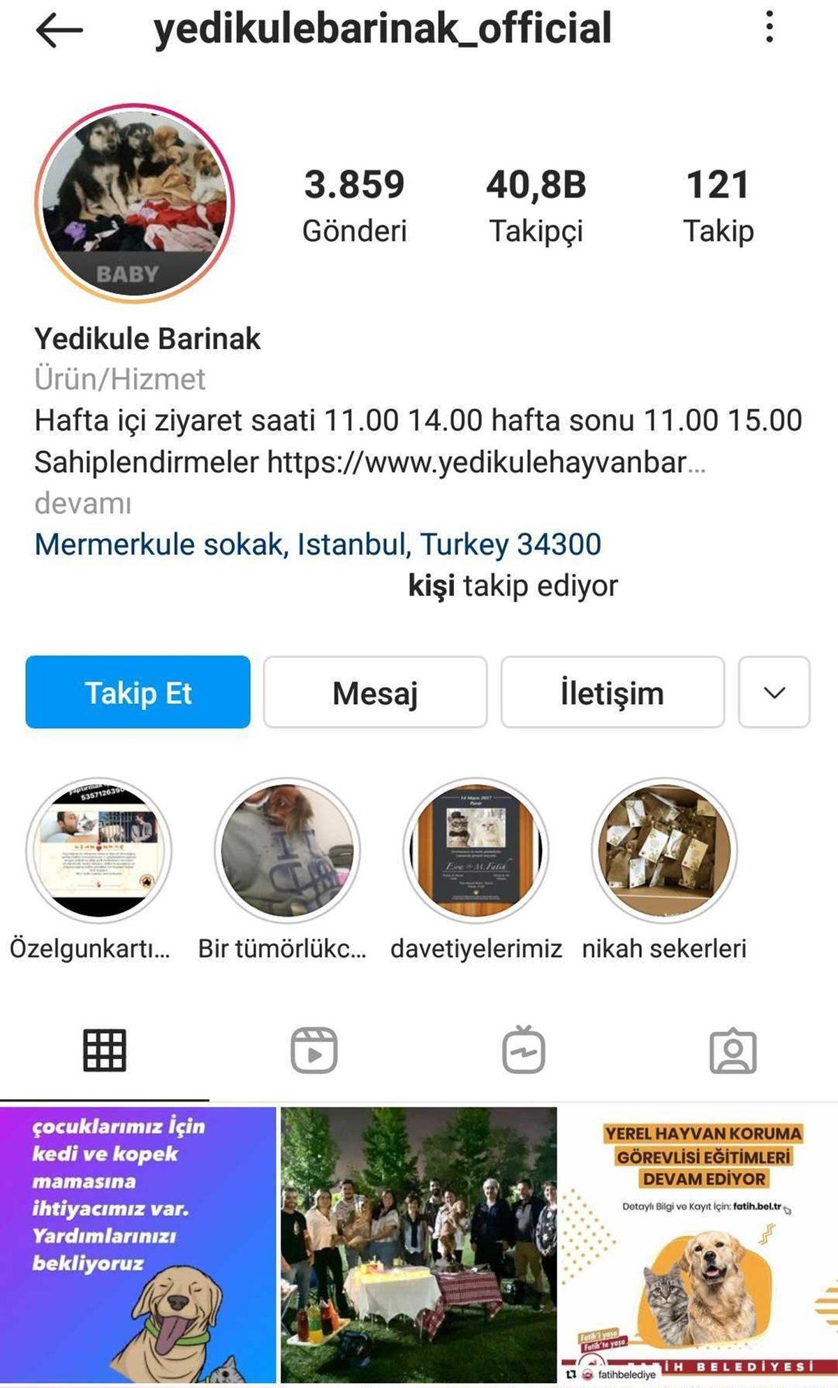 Satın Alma Sahiplen: Bir Köpeği Dost Edinip Ona Destek Olabileceğiniz 11 Instagram Hesabı