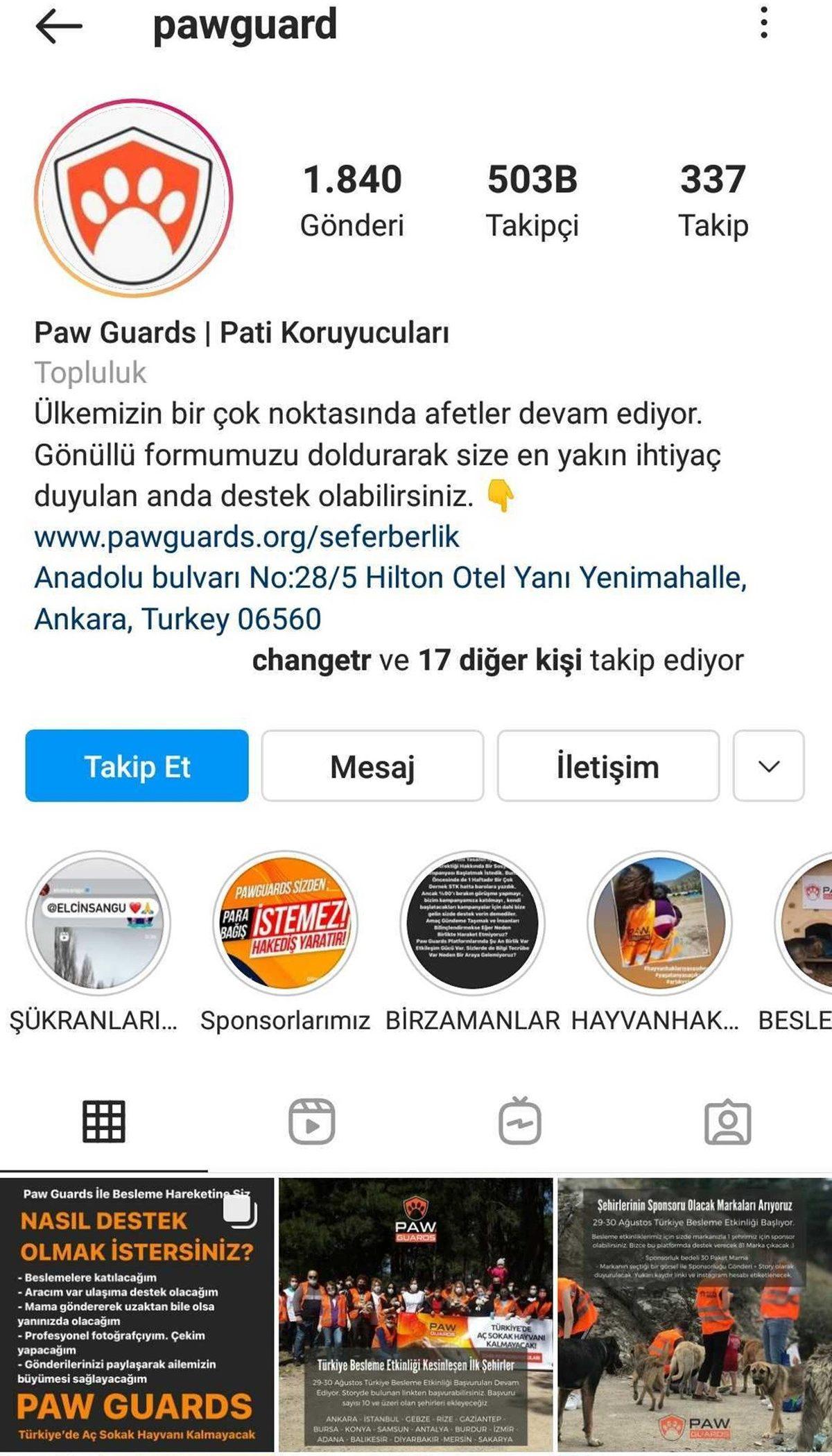 Satın Alma Sahiplen: Bir Köpeği Dost Edinip Ona Destek Olabileceğiniz 11 Instagram Hesabı