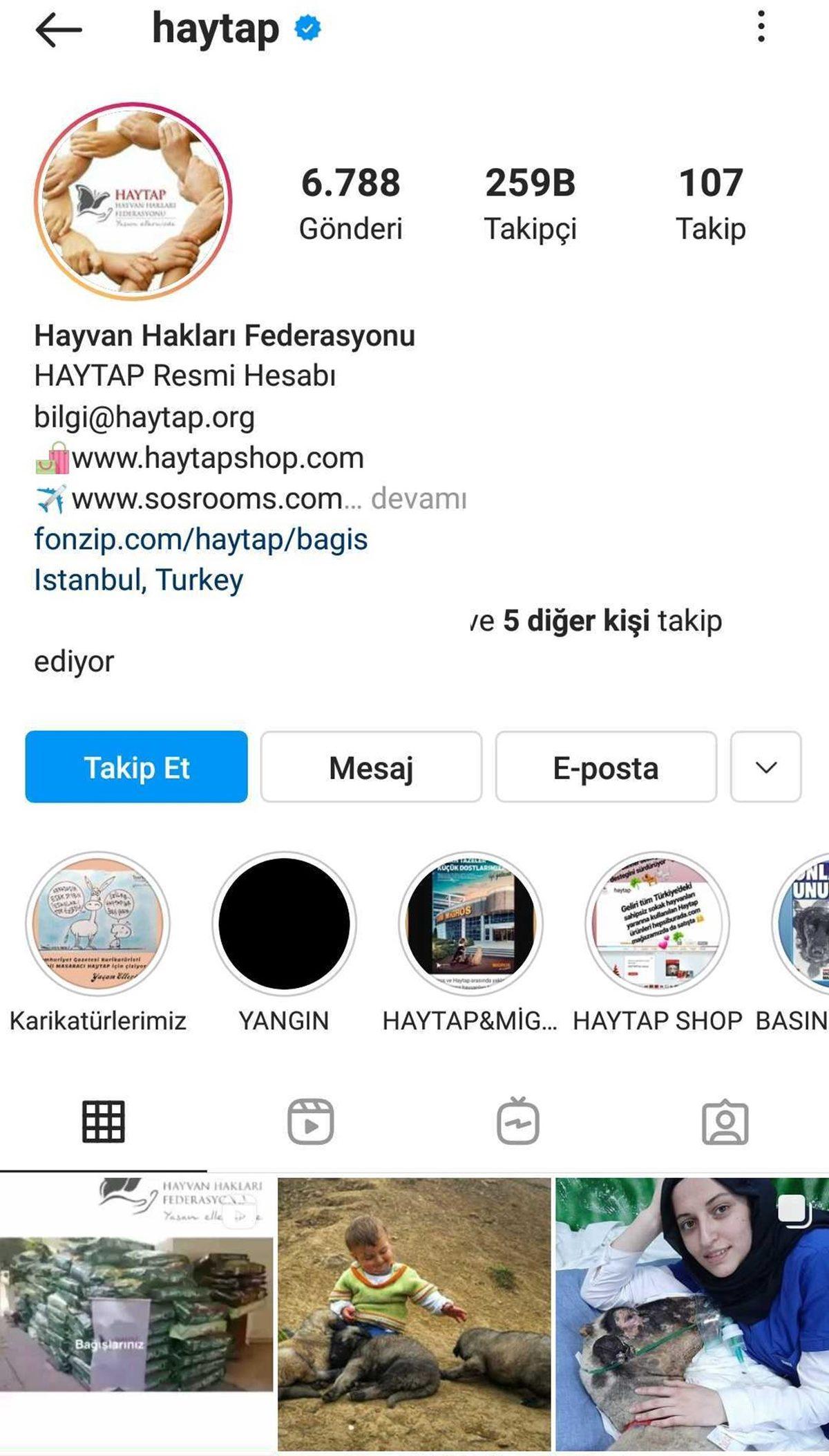 Satın Alma Sahiplen: Bir Köpeği Dost Edinip Ona Destek Olabileceğiniz 11 Instagram Hesabı