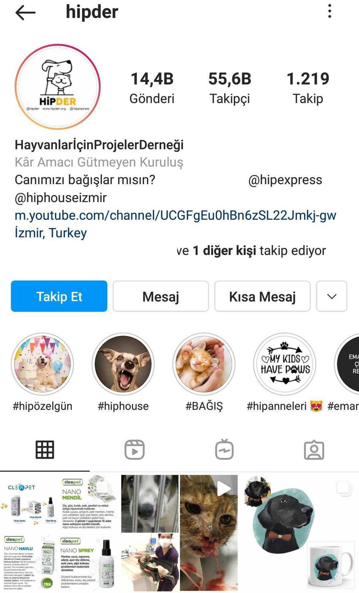 Satın Alma Sahiplen: Bir Köpeği Dost Edinip Ona Destek Olabileceğiniz 11 Instagram Hesabı