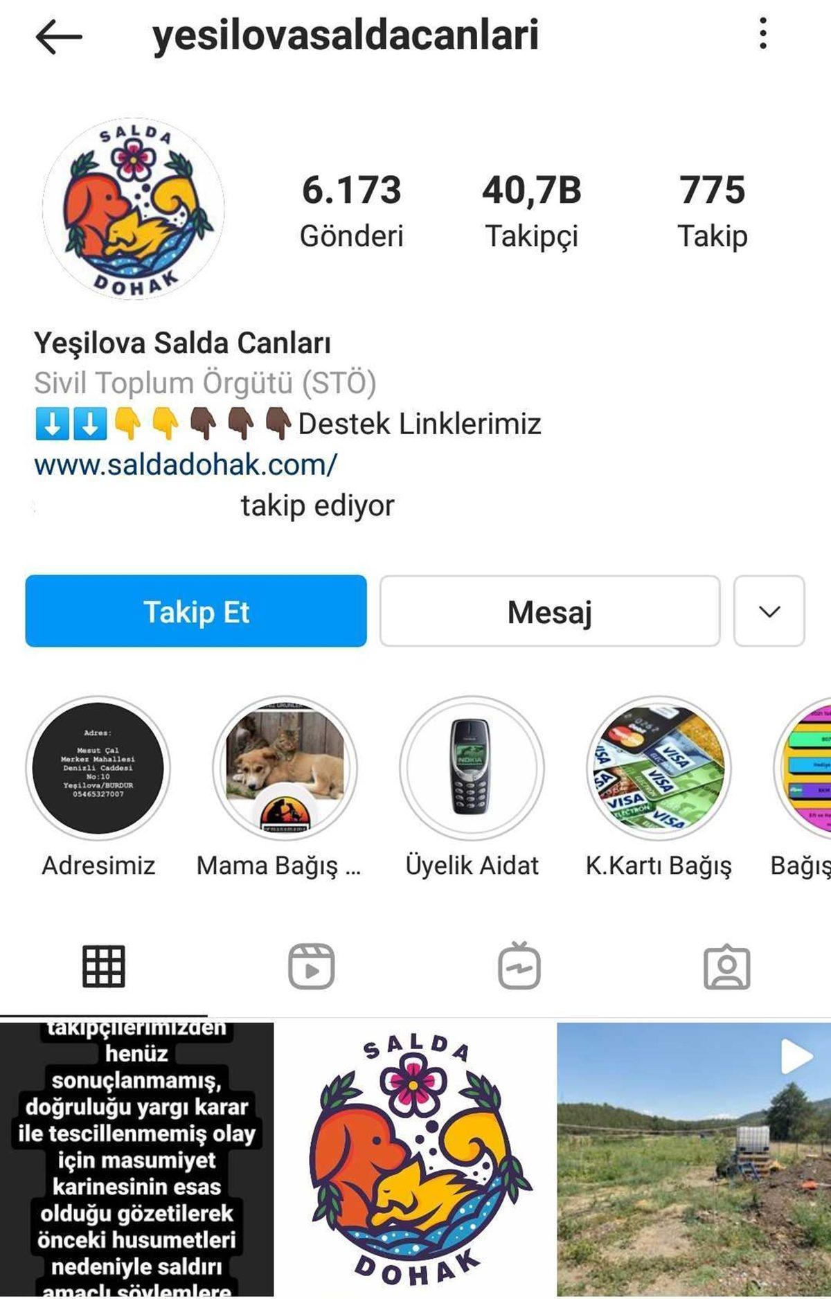 Satın Alma Sahiplen: Bir Köpeği Dost Edinip Ona Destek Olabileceğiniz 11 Instagram Hesabı