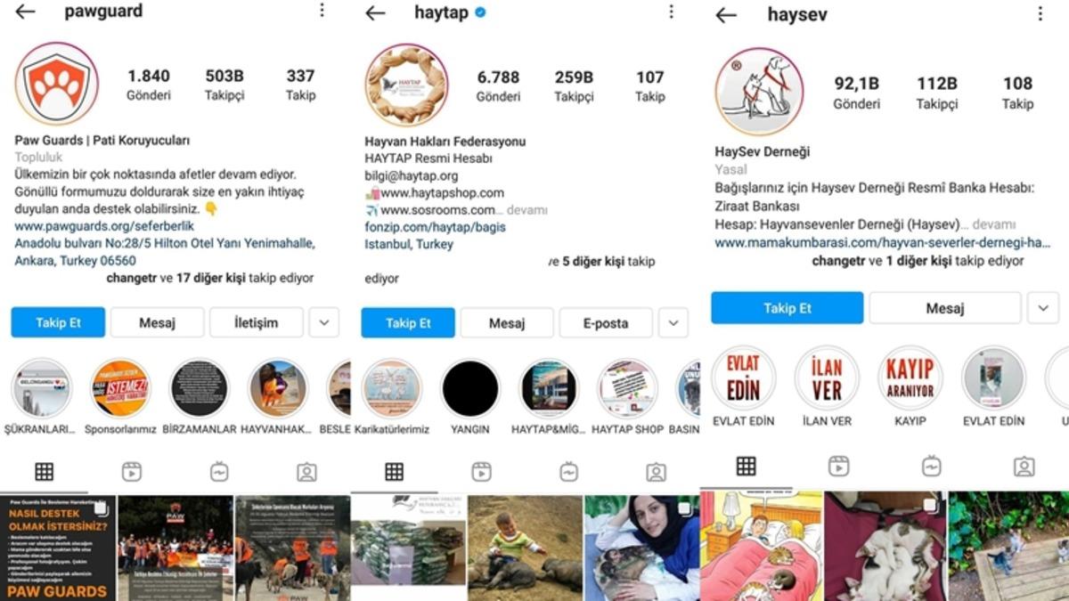 Satın Alma Sahiplen: Bir Köpeği Dost Edinip Ona Destek Olabileceğiniz 11 Instagram Hesabı
