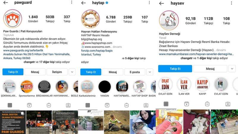 Satın Alma Sahiplen: Bir Köpeği Dost Edinip Ona Destek Olabileceğiniz 11 Instagram Hesabı