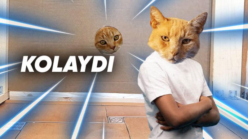 Kediler Nasıl Oluyor da Aşırı Dar ve Küçük Yerlerden Geçebiliyor?