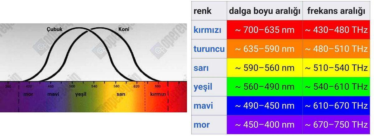 Sinema ve Tiyatro Salonlarında Neden Kırmızı Renk Tonları Kullanılıyor? Altında Bilimsel Bir Gerçek Yatıyor!
