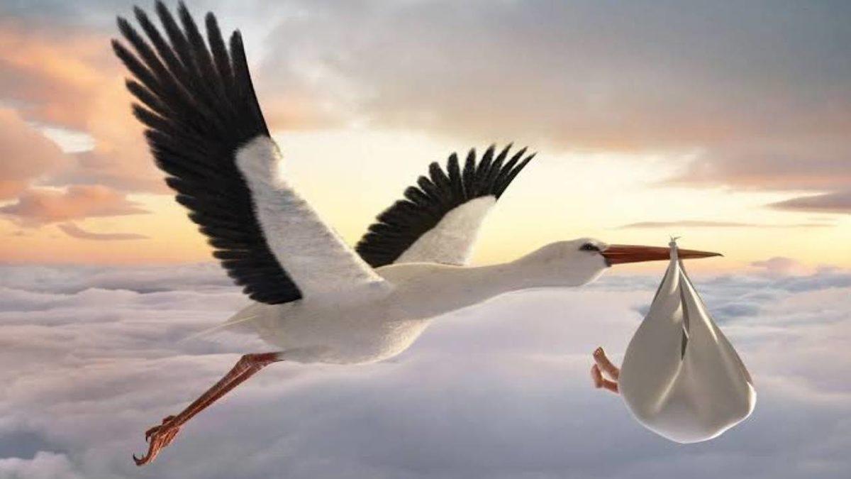 Kökeni Binlerce Yıllık Türk Mitolojisine Dayanan 10 Gelenek, Kültür ve Davranışımız