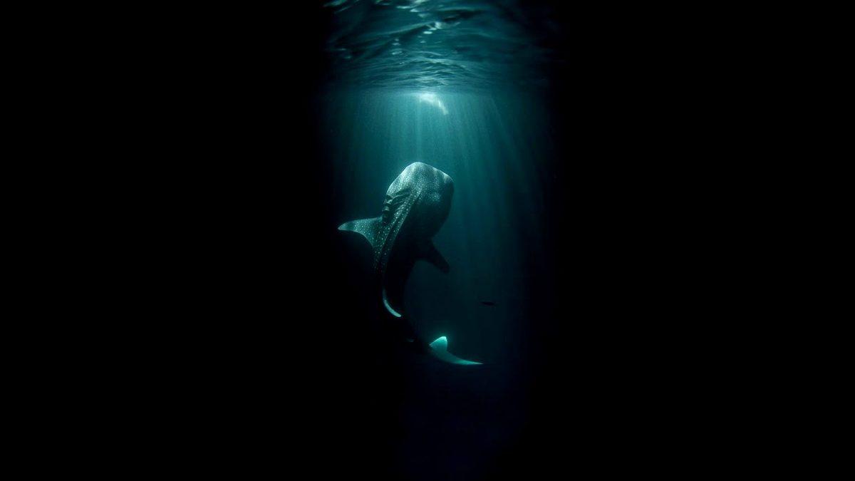 Denize Girme Düşüncesinin Bile Kabus Gibi Hissettirdiği Rahatsızlık: Talassofobi