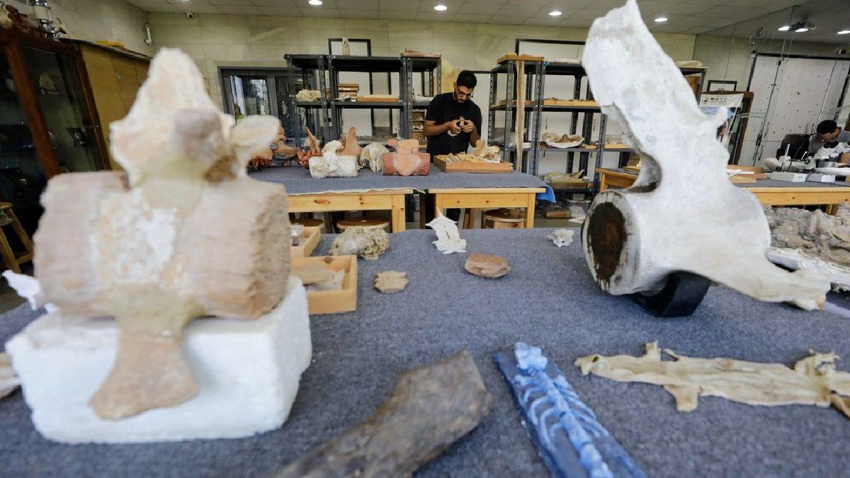 43 Milyon Yıl Önce Yaşamış, 4 Ayaklı Balina Fosili Bulundu