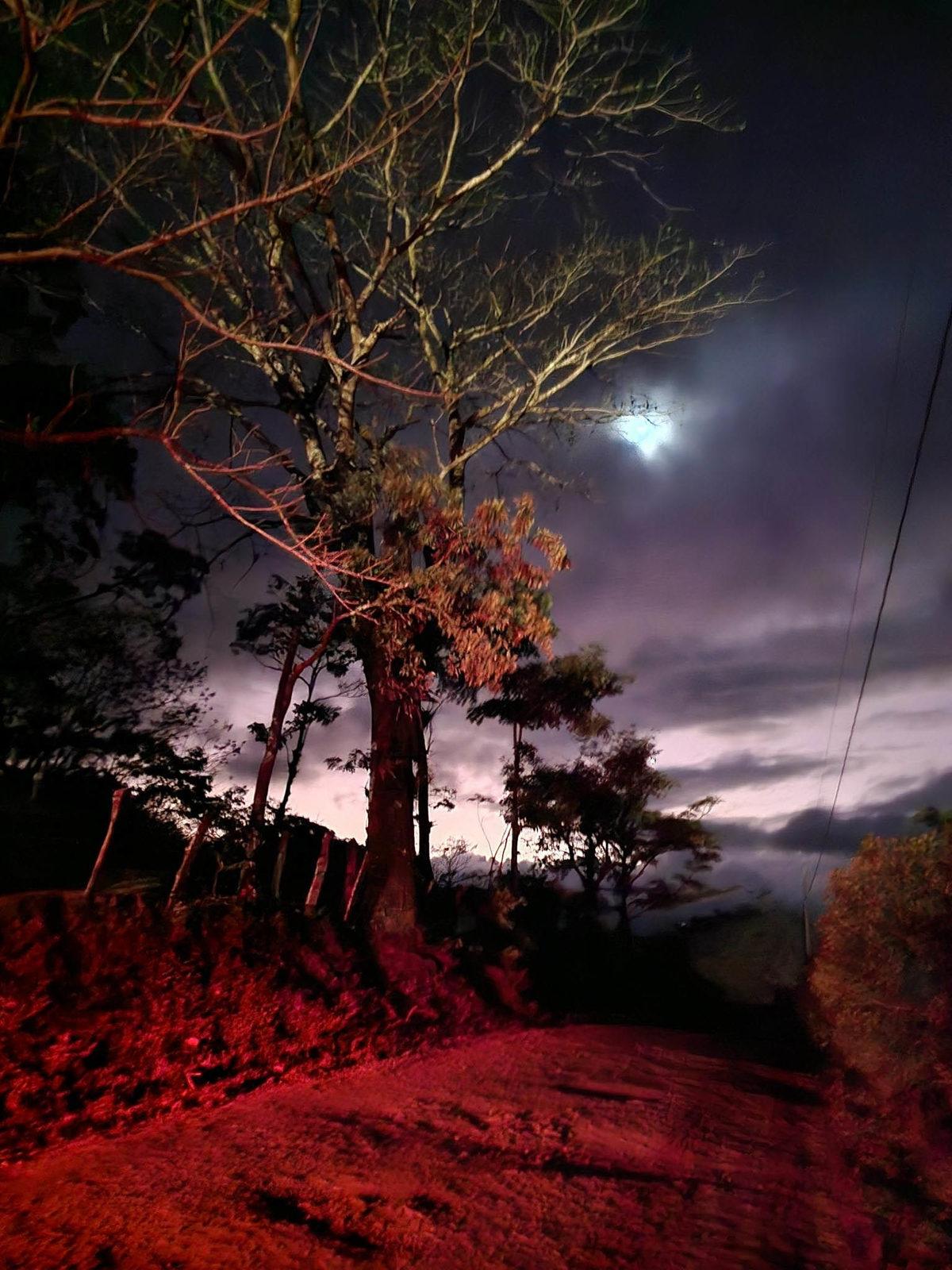 Samsung Galaxy S23 Ultra Çekilen Fotoğraf ve Videolar Paylaşıldı