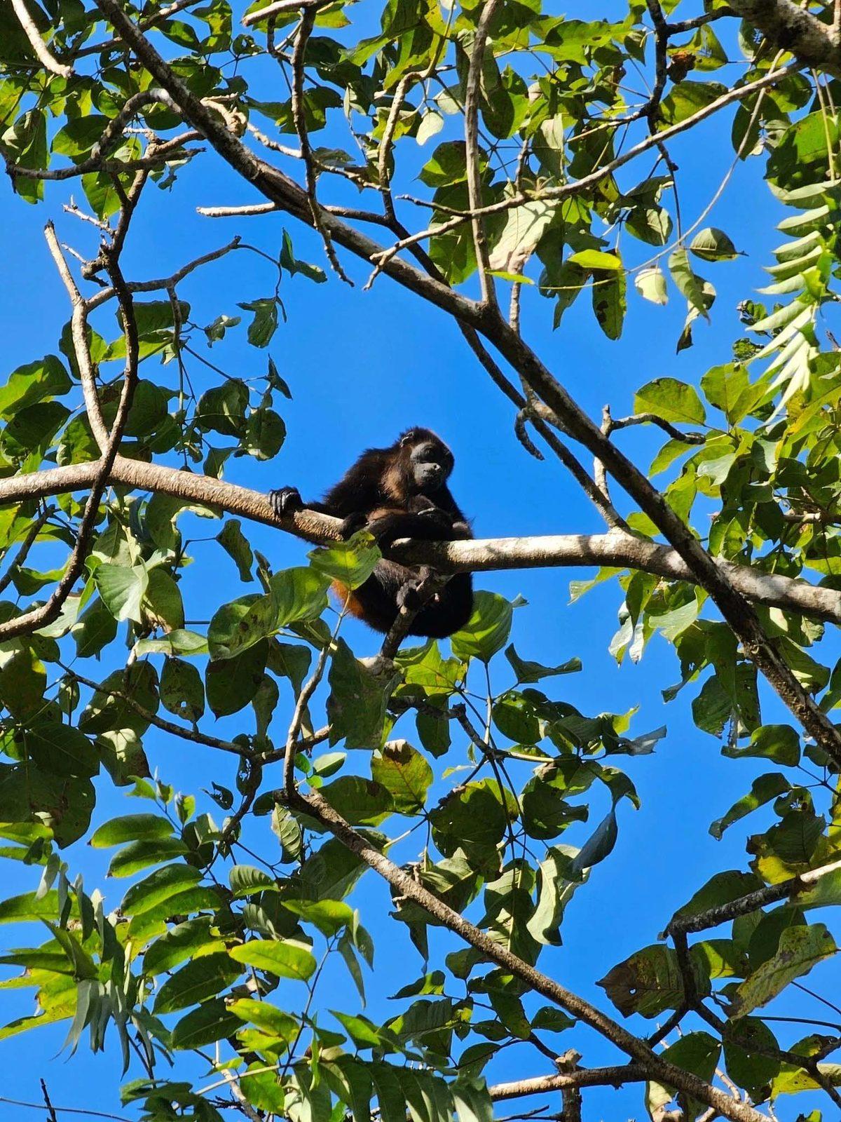 Samsung Galaxy S23 Ultra Çekilen Fotoğraf ve Videolar Paylaşıldı