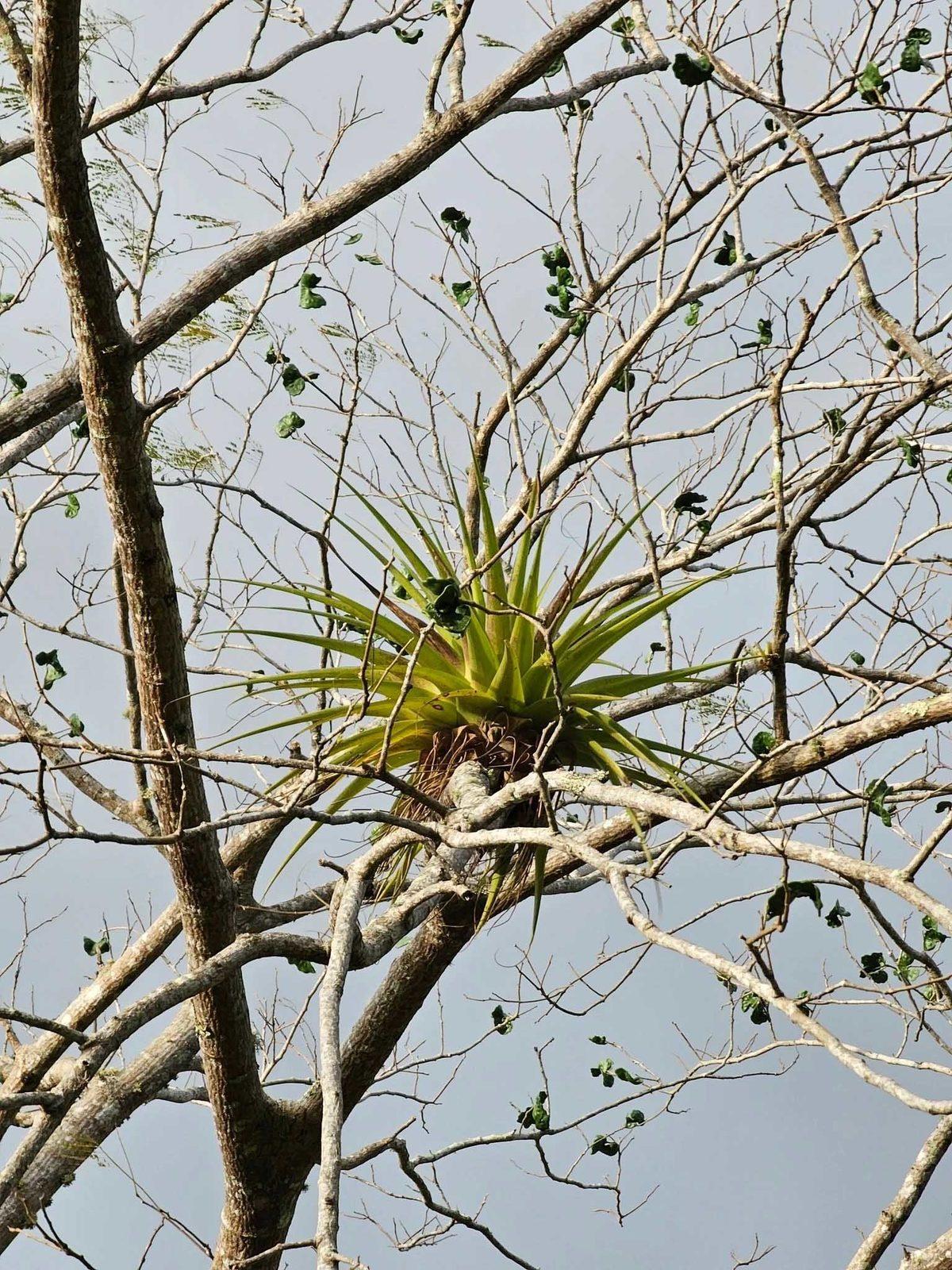 Samsung Galaxy S23 Ultra Çekilen Fotoğraf ve Videolar Paylaşıldı