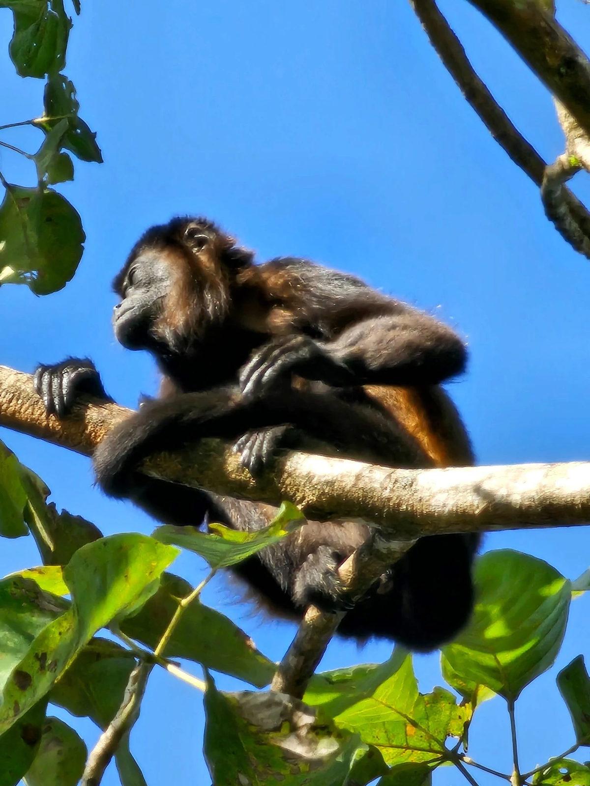 Samsung Galaxy S23 Ultra Çekilen Fotoğraf ve Videolar Paylaşıldı