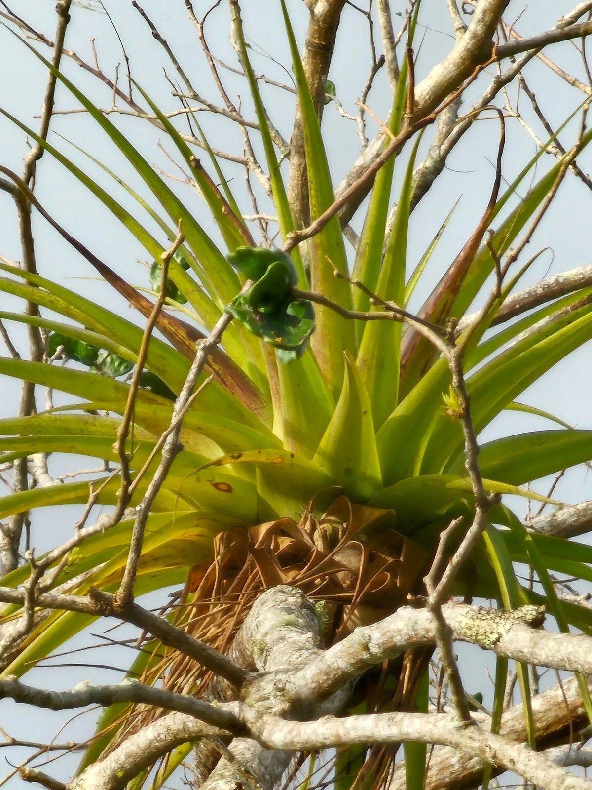 Samsung Galaxy S23 Ultra Çekilen Fotoğraf ve Videolar Paylaşıldı