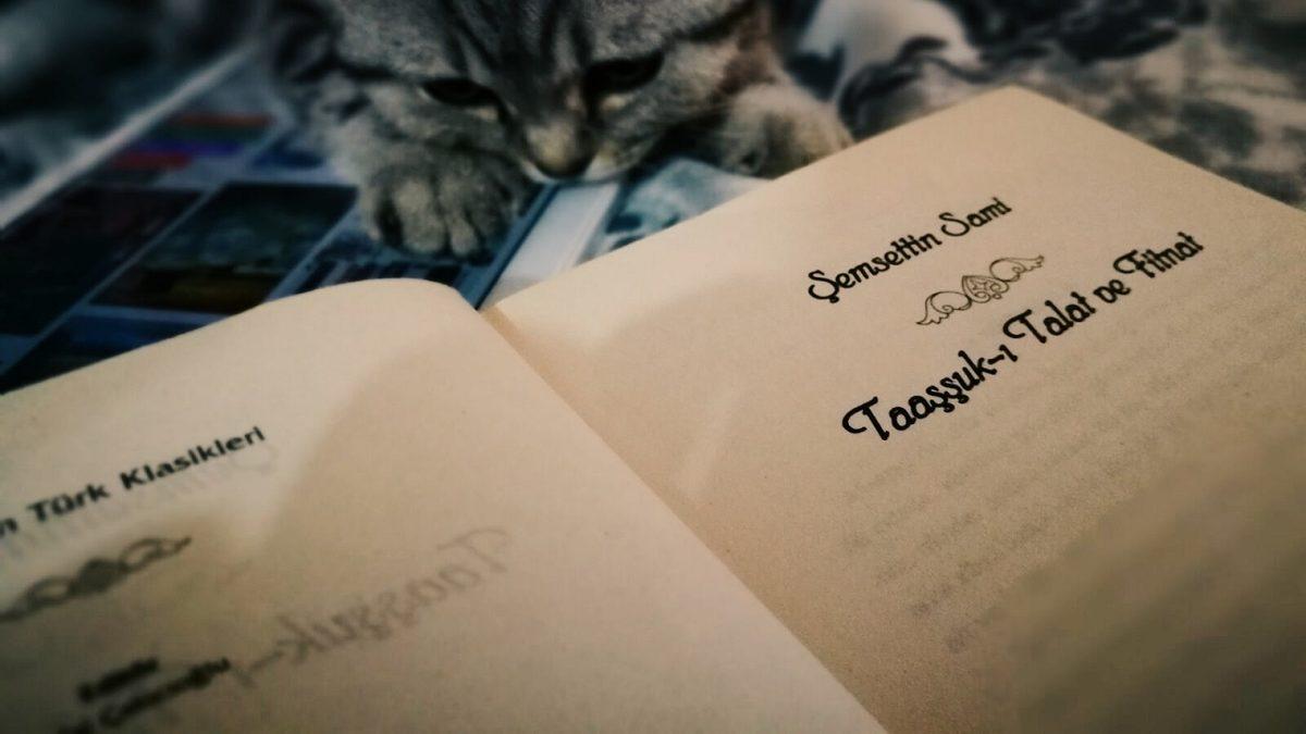 Dünya Edebiyatında Yazılan İlk Roman Nedir? Hayır, Cevap Don Kişot Değil!