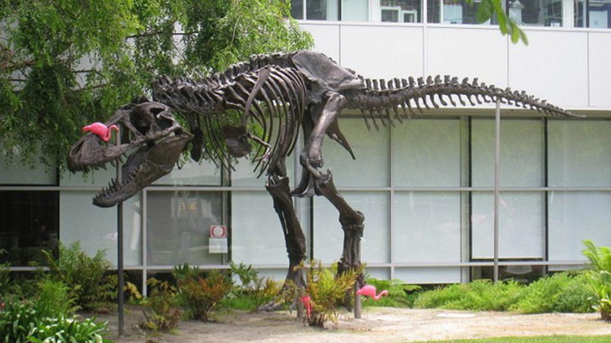 Google’ın Merkez Binasıyla İlgili ’Burada Çalışmalıyım’ Dedirtecek 9 Detay