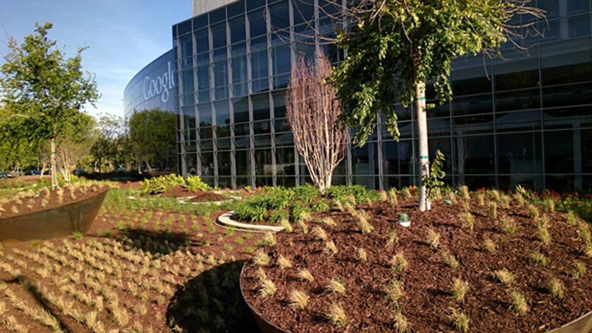 Google’ın Merkez Binasıyla İlgili ’Burada Çalışmalıyım’ Dedirtecek 9 Detay