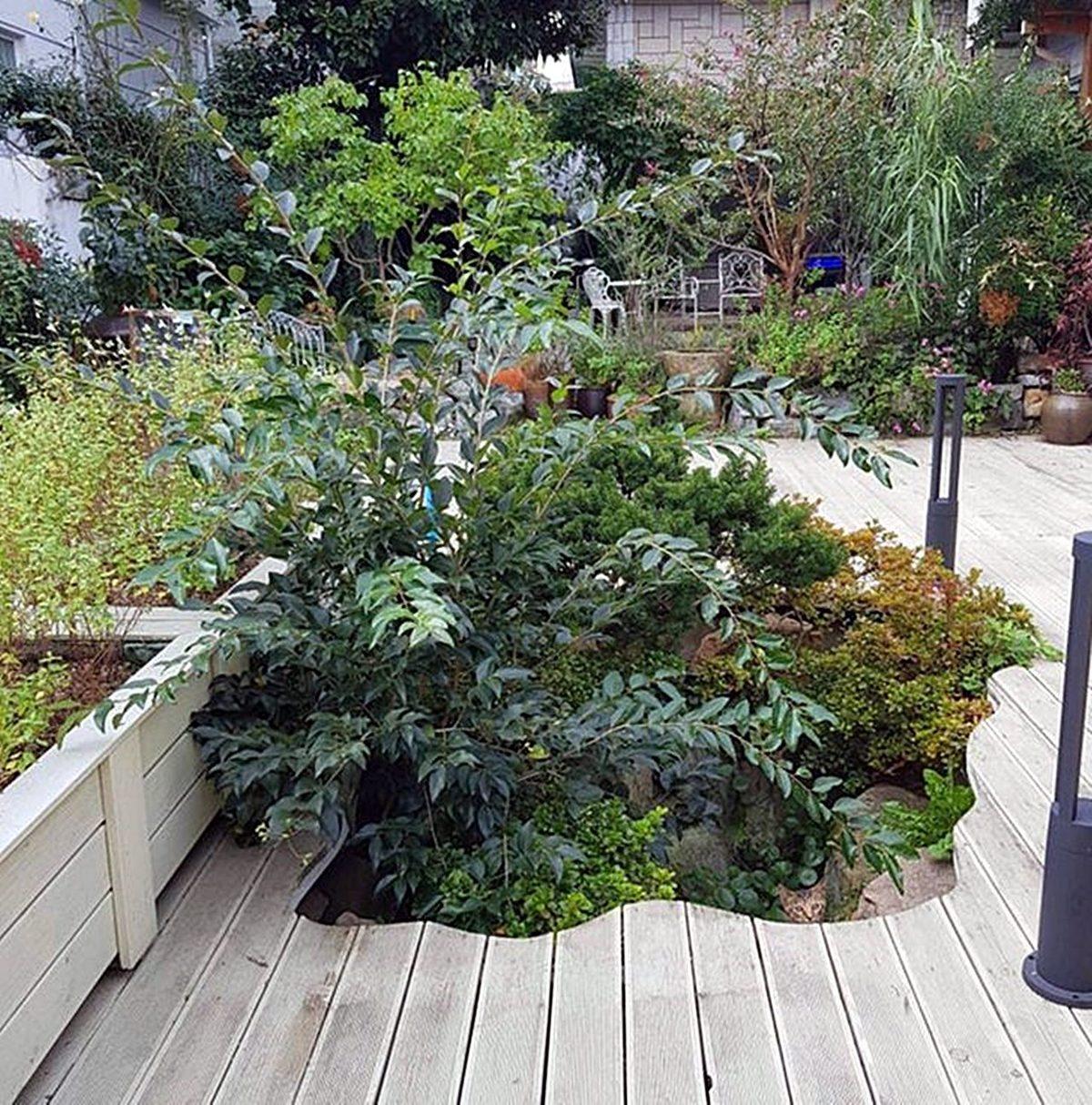 Bu Görsellerde Saklı Olan Hayvanları ’5 Saniye İçinde’ Bulabiliyorsan Ortalama Kitleden Daha Zekisin!