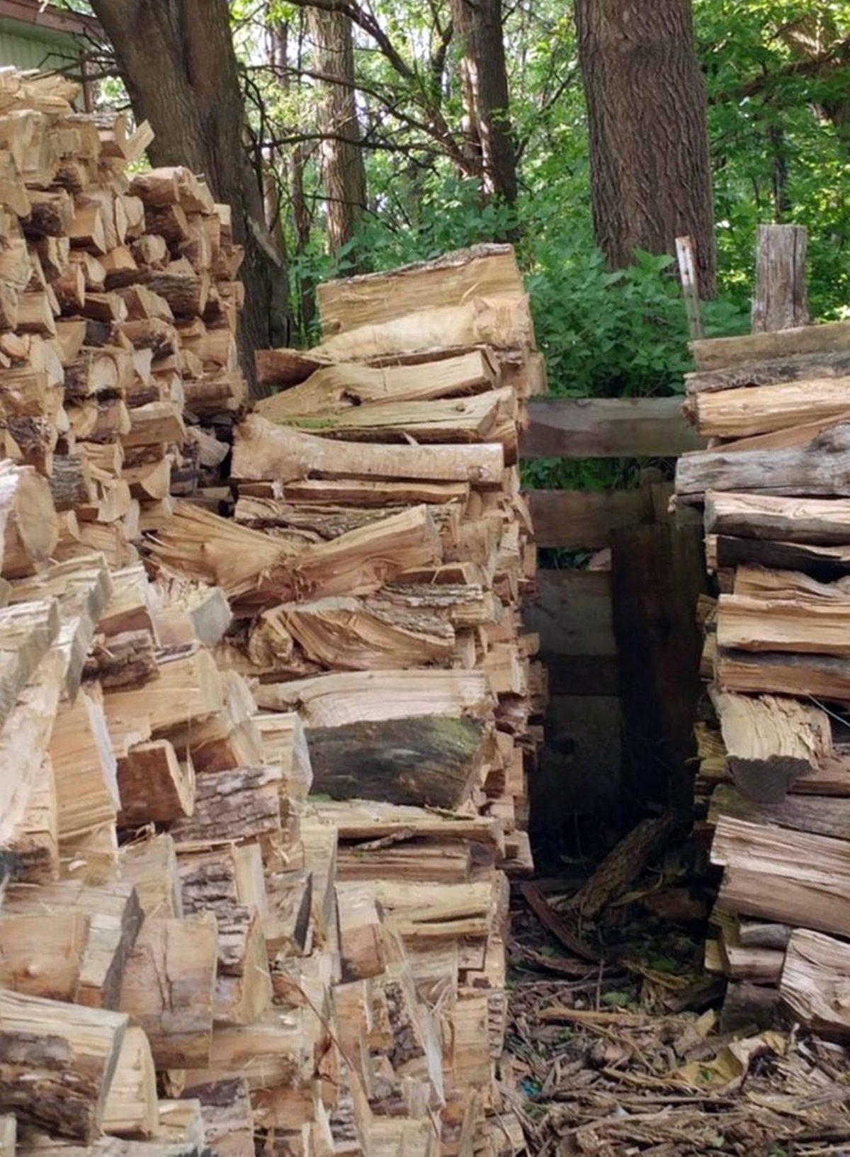 Bu Görsellerde Saklı Olan Hayvanları ’5 Saniye İçinde’ Bulabiliyorsan Ortalama Kitleden Daha Zekisin!