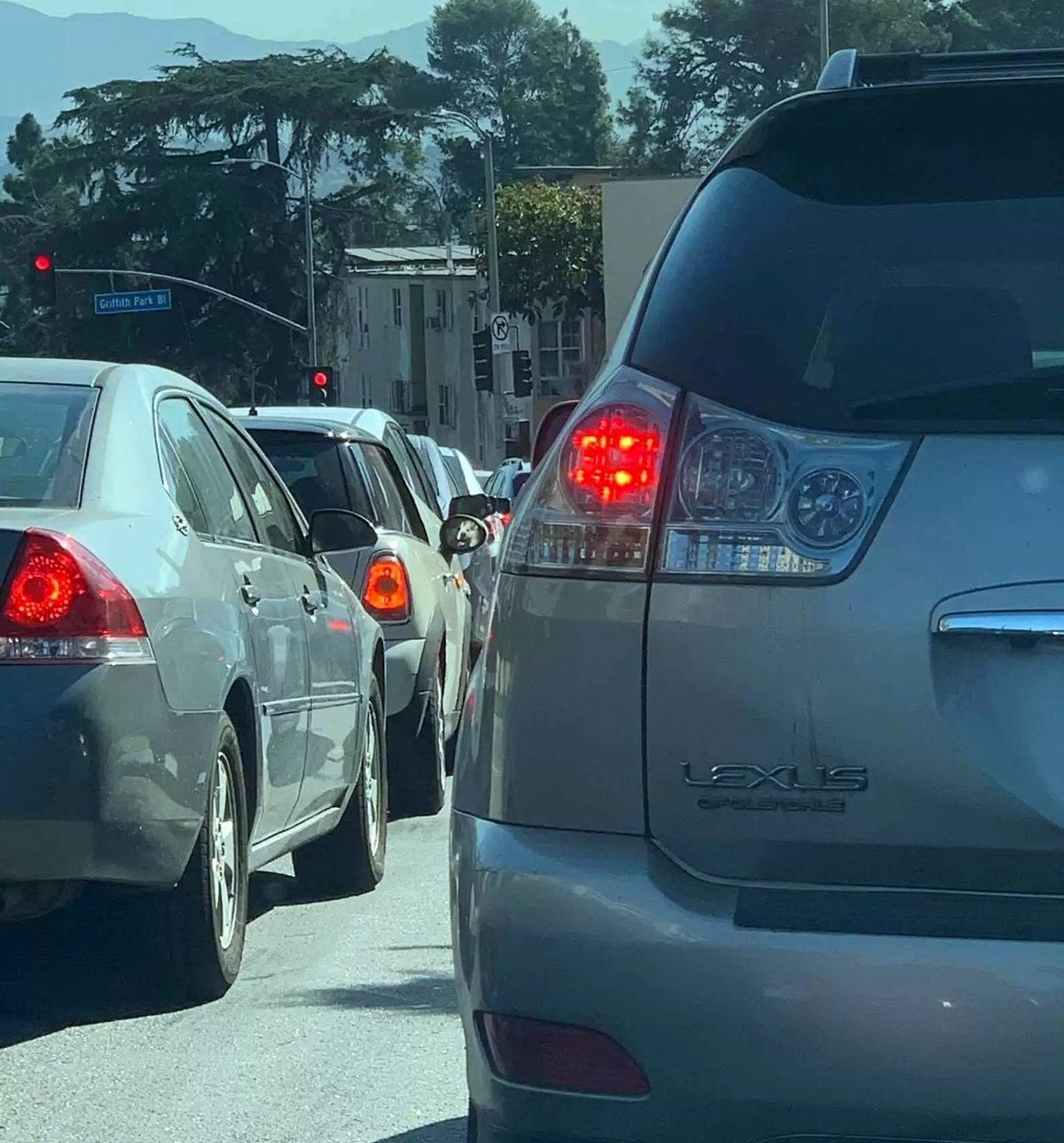 Bu Görsellerde Saklı Olan Hayvanları ’5 Saniye İçinde’ Bulabiliyorsan Ortalama Kitleden Daha Zekisin!