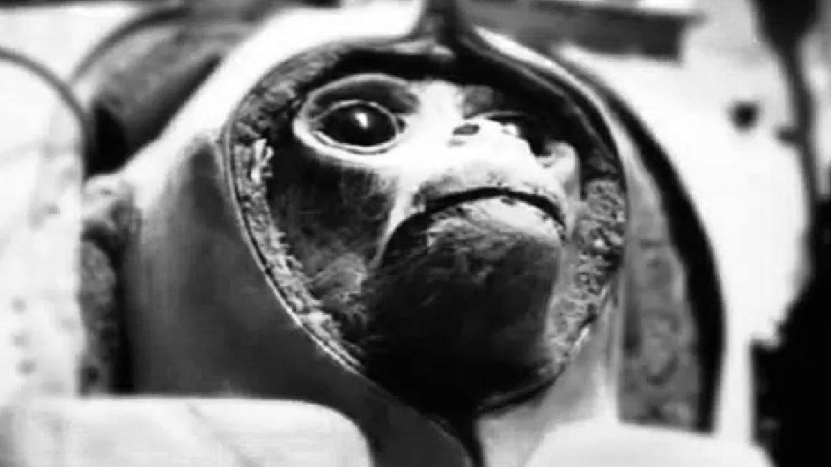 Hepsinin Sonu İyi Bitmedi: Geçmişten Günümüze Uzaya Yolculuk Etmiş 20 Hayvan ve Hikayeleri