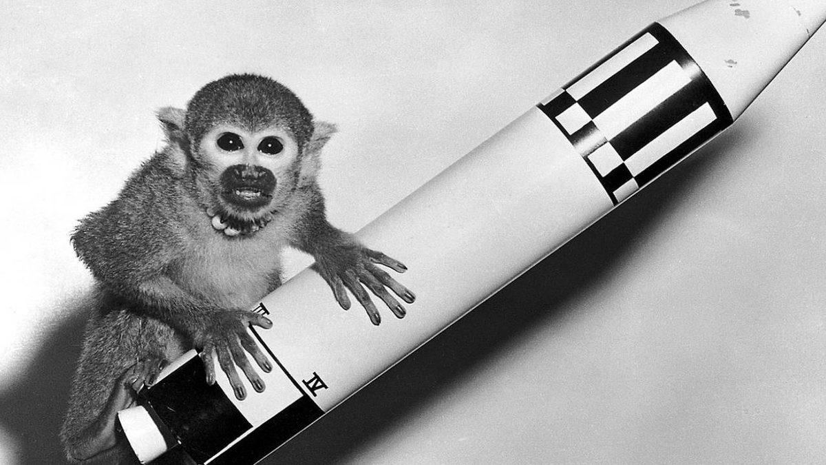 Hepsinin Sonu İyi Bitmedi: Geçmişten Günümüze Uzaya Yolculuk Etmiş 20 Hayvan ve Hikayeleri