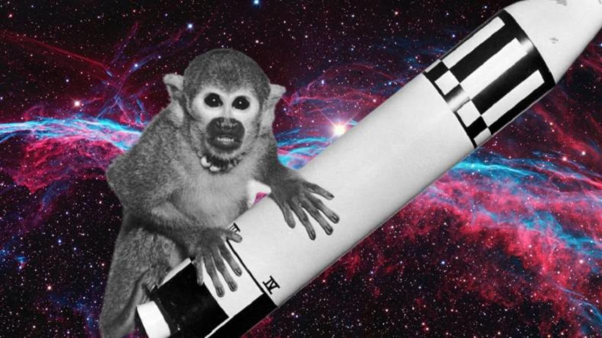 Hepsinin Sonu İyi Bitmedi: Geçmişten Günümüze Uzaya Yolculuk Etmiş 20 Hayvan ve Hikayeleri