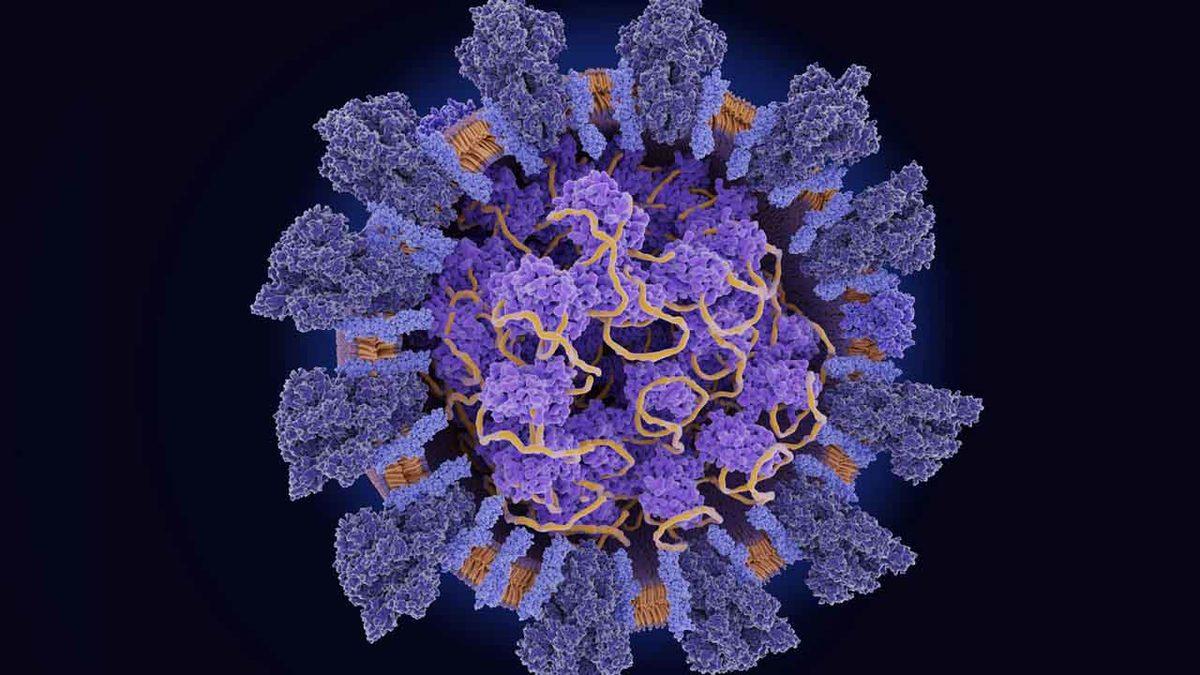Tüm Varyantlardan Daha Hızlı Yayılan Yeni Bir Koronavirüs Varyantı Ortaya Çıktı