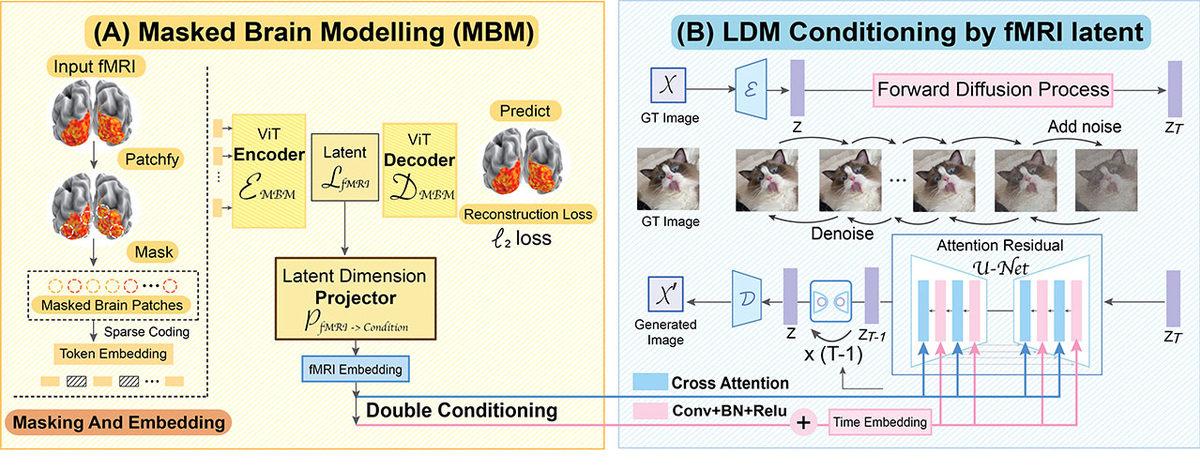 Aklınızı Okuyarak Resme Dönüştüren Yapay Zeka Geliştirildi: Rüyalarınızın Bile Fotoğrafı Çekiliyor...
