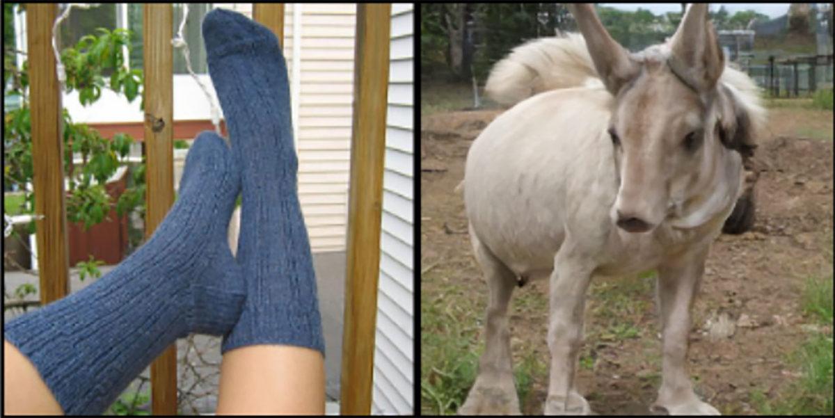 Aklınızı Okuyarak Resme Dönüştüren Yapay Zeka Geliştirildi: Rüyalarınızın Bile Fotoğrafı Çekiliyor...